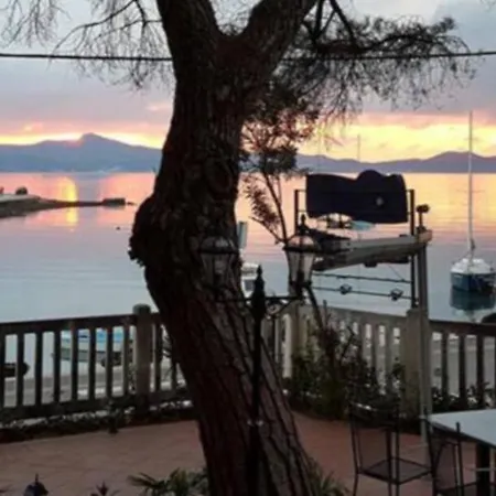 Tomic 1 Apartment Zadar